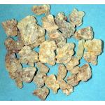 Socotri frankincense (Boswellia socotrana exudate) 28 g