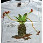 T-shirt, Euphorbia pachypodioides, Large, blue