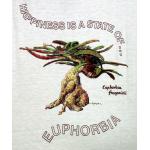 T-shirt, Euphorbia francoisii, Medium, Ivory