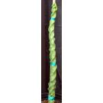 Lophocereus schottii fm mieckleyanus spiraling 3-gallon pots