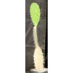 Opuntia megasperma one-gallon pots