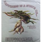 T-shirt, Euphorbia francoisii, Large, Tan