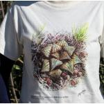 T-shirt, Haworthia magnifica var. splendens, Small