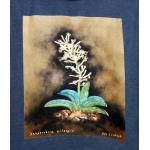 T-shirt, Sansevieria eilensis, Large, Denim