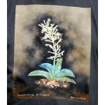 T-shirt, Sansevieria eilensis, XL, Pepper