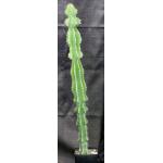 Euphorbia fortissima one-gallon pots