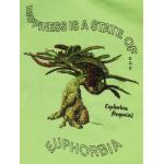 T-shirt, Euphorbia francoisii, 2x Large, Neon Yellow