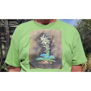 T-shirt, Sansevieria eilensis, Large, Pistachio