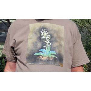 T-shirt, Sansevieria eilensis, Extra Large, Brown