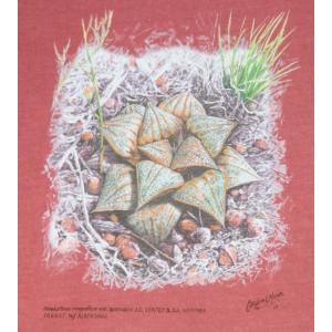 T-shirt, Haworthia magnifica var. splendens, XL, Brick