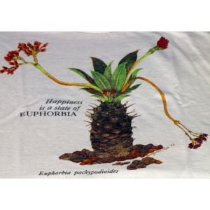 T-shirt, Euphorbia pachypodioides, XL, tan