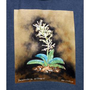 T-shirt, Sansevieria eilensis, Large, Denim