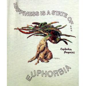 T-shirt, Euphorbia francoisii, Large, Neon Yellow